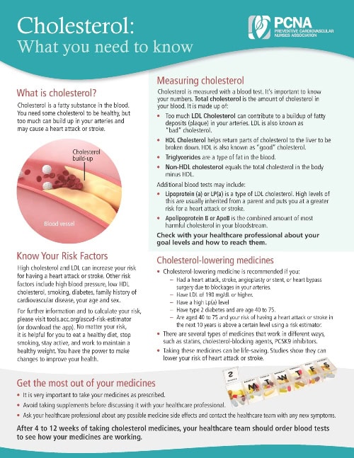 Cholesterol fact sheet cover-min Cholesterol fact sheet cover-min