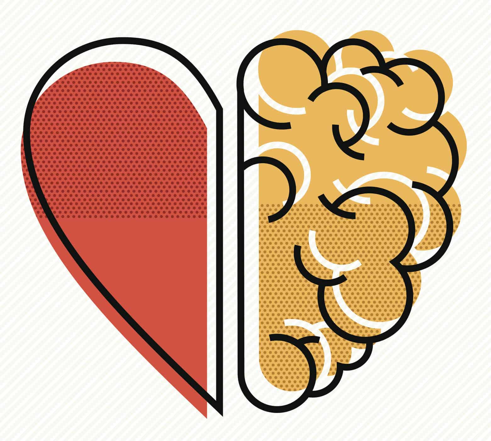 heart brain graphic heart brain graphic