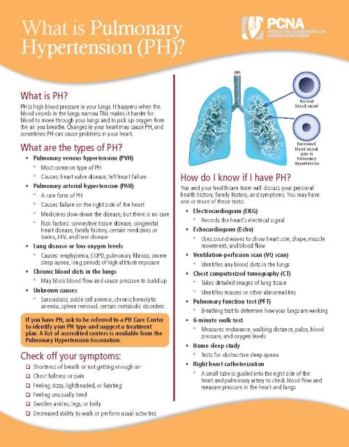 PCNA PH 2023_page 1 PCNA PH 2023_page 1