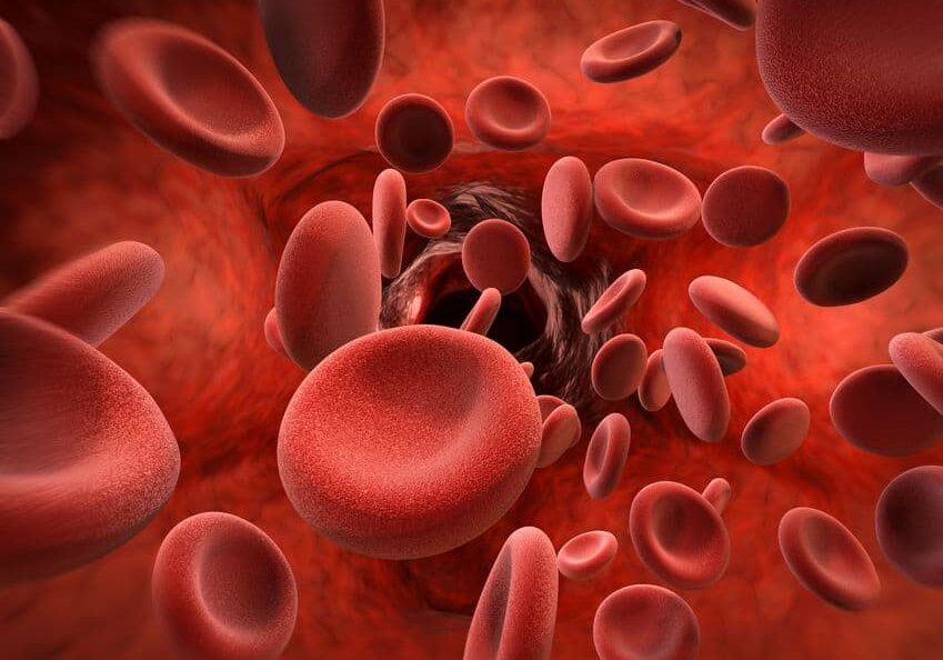 Platelets